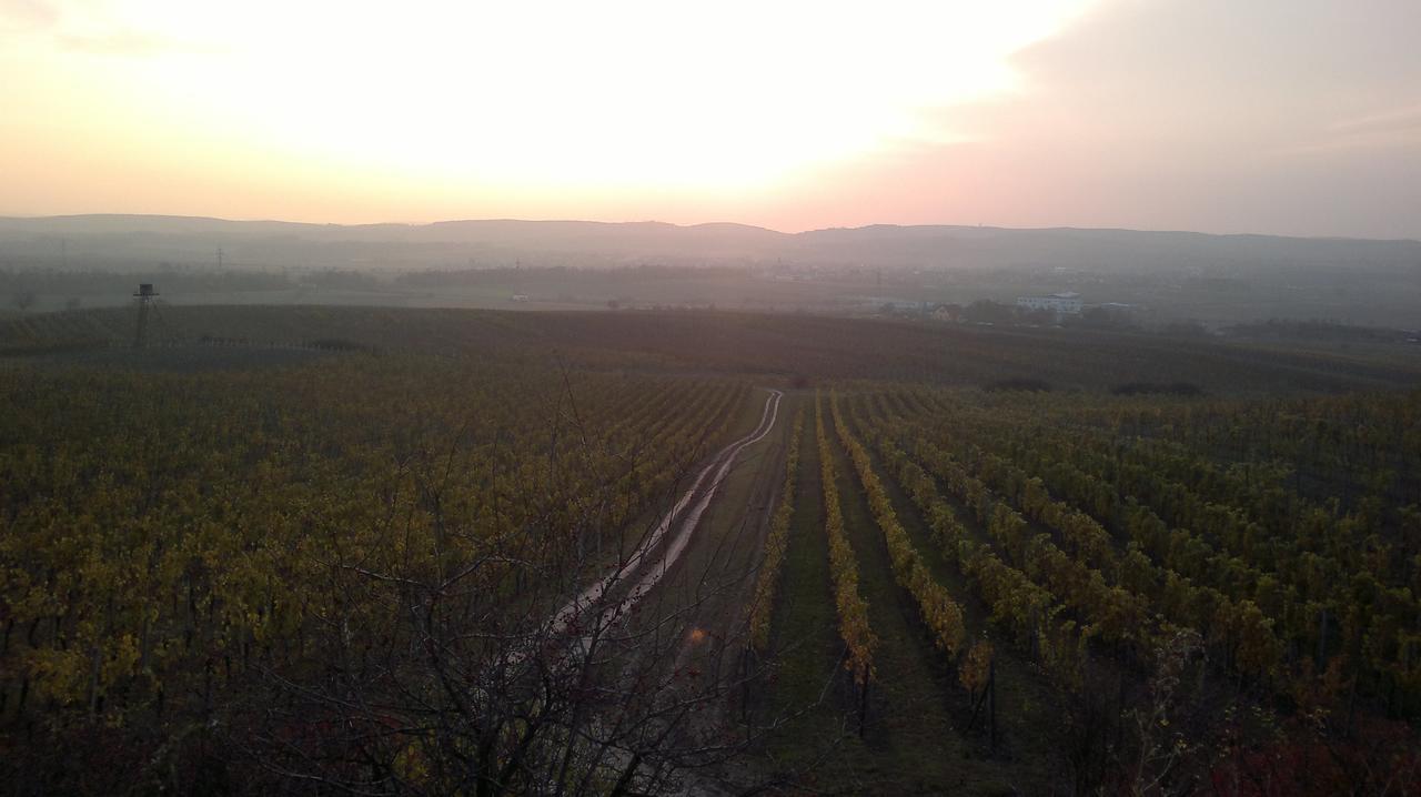 Sommelierka Appartement Valtice Buitenkant foto